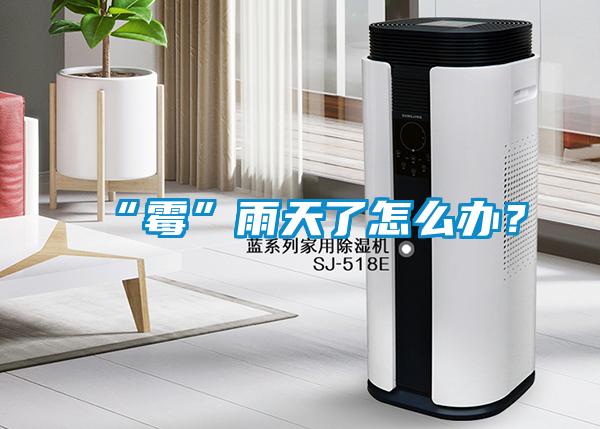 “霉”雨天了怎么辦？