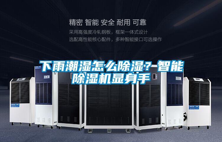 下雨潮濕怎么除濕？智能除濕機(jī)顯身手