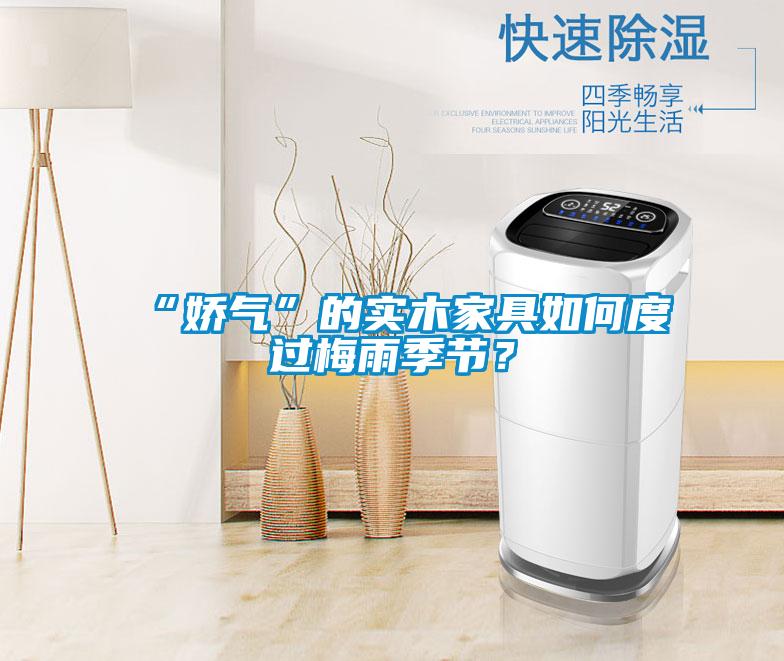 “嬌氣”的實(shí)木家具如何度過梅雨季節(jié)？