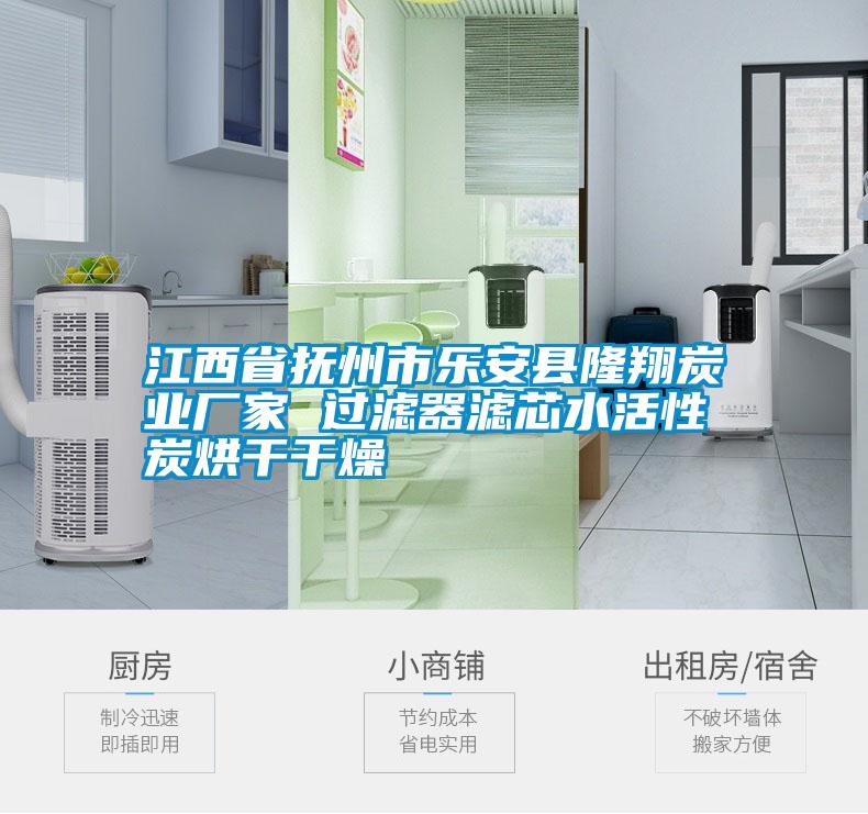 江西省撫州市樂(lè)安縣隆翔炭業(yè)廠家 過(guò)濾器濾芯水活性炭烘干干燥