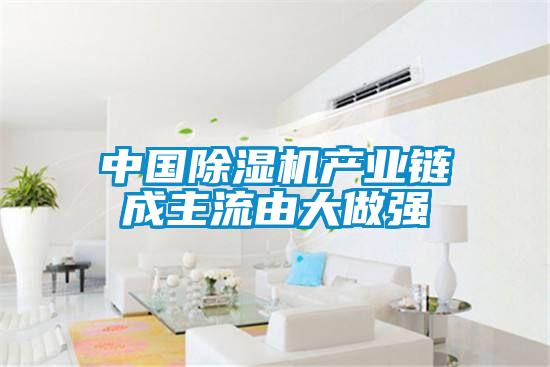 中國(guó)除濕機(jī)產(chǎn)業(yè)鏈成主流由大做強(qiáng)