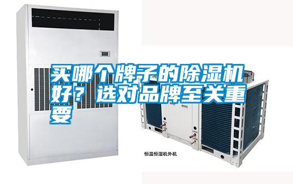 買哪個牌子的除濕機好？選對品牌至關(guān)重要