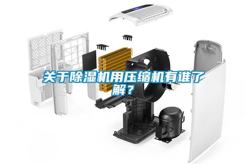關(guān)于除濕機用壓縮機有誰了解？