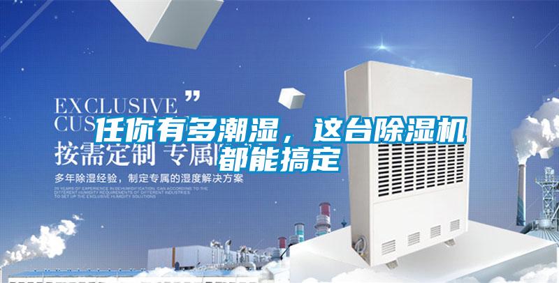 任你有多潮濕，這臺除濕機都能搞定