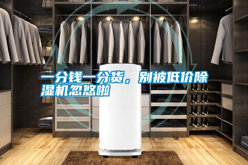 一分錢一分貨，別被低價除濕機忽悠啦