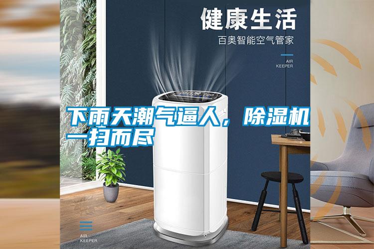 下雨天潮氣逼人，除濕機(jī)一掃而盡