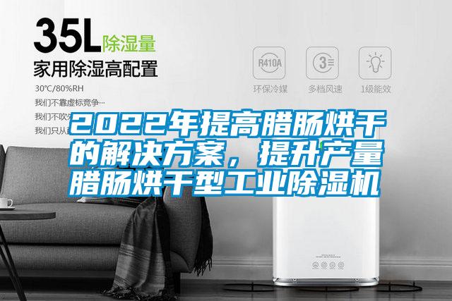 2022年提高臘腸烘干的解決方案，提升產(chǎn)量臘腸烘干型工業(yè)除濕機(jī)