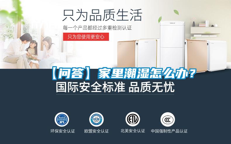 【問答】家里潮濕怎么辦？