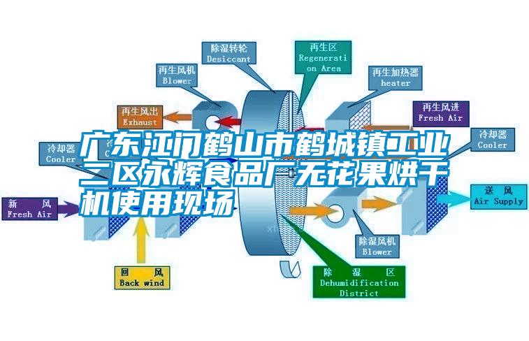 廣東江門(mén)鶴山市鶴城鎮(zhèn)工業(yè)二區(qū)永輝食品廠無(wú)花果烘干機(jī)使用現(xiàn)場(chǎng)