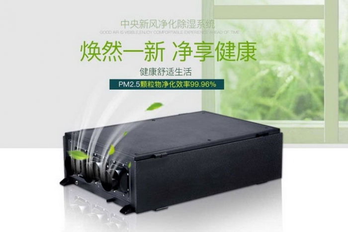 一年一度梅雨季快來了，這份除濕防潮全攻略搶先收藏！