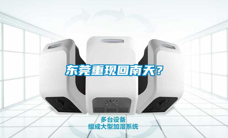 東莞重現(xiàn)回南天?