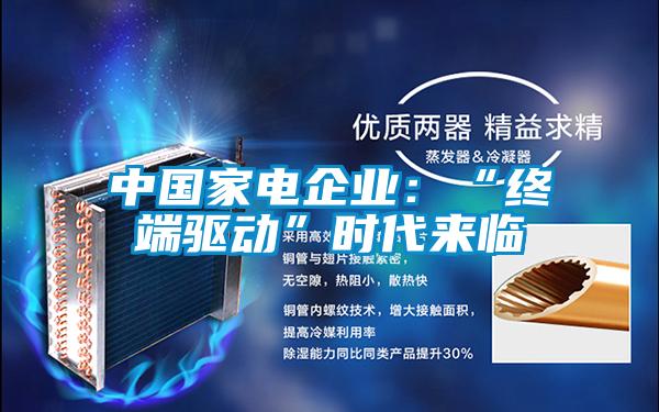 中國家電企業(yè)：“終端驅(qū)動”時代來臨