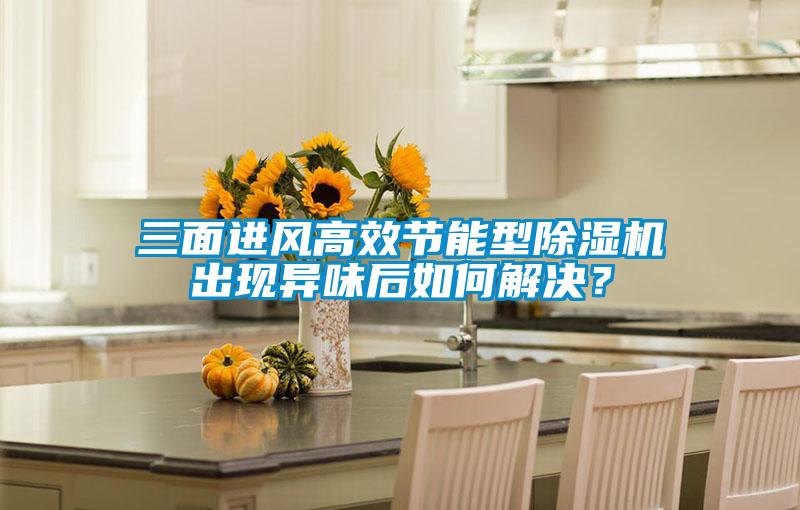 三面進(jìn)風(fēng)高效節(jié)能型除濕機(jī)出現(xiàn)異味后如何解決？