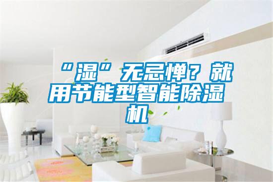 “濕”無忌憚？就用節(jié)能型智能除濕機(jī)