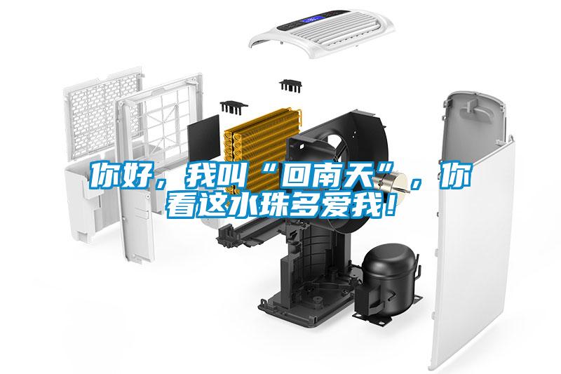 你好，我叫“回南天”，你看這水珠多愛我！
