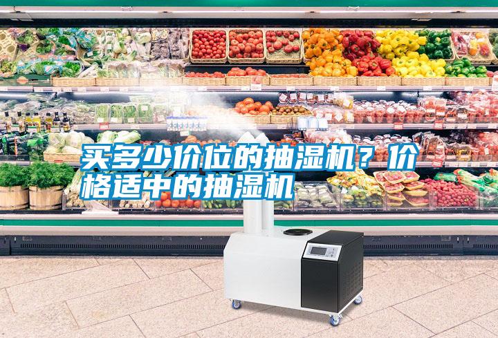 買多少價位的抽濕機？價格適中的抽濕機