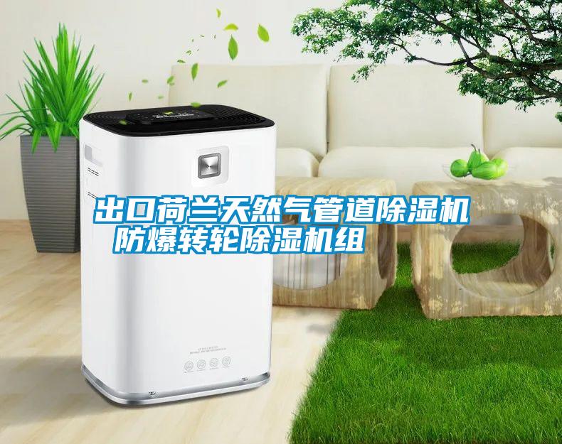 出口荷蘭天然氣管道除濕機(jī) 防爆轉(zhuǎn)輪除濕機(jī)組