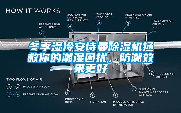 冬季濕冷安詩曼除濕機拯救你的潮濕困擾，防潮效果更好