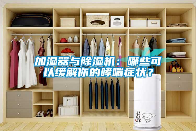 加濕器與除濕機：哪些可以緩解你的哮喘癥狀？