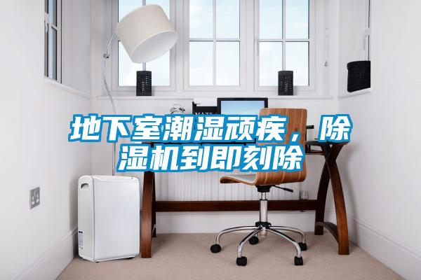 地下室潮濕頑疾，除濕機到即刻除