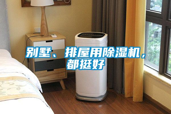 別墅、排屋用除濕機(jī)，都挺好