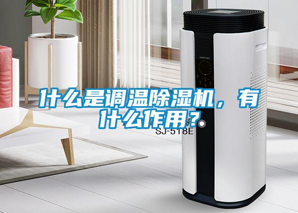 什么是調(diào)溫除濕機(jī),有什么作用?