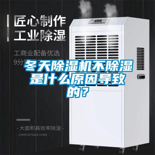 冬天除濕機不除濕是什么原因?qū)е碌模?/></p>
						    <p style=