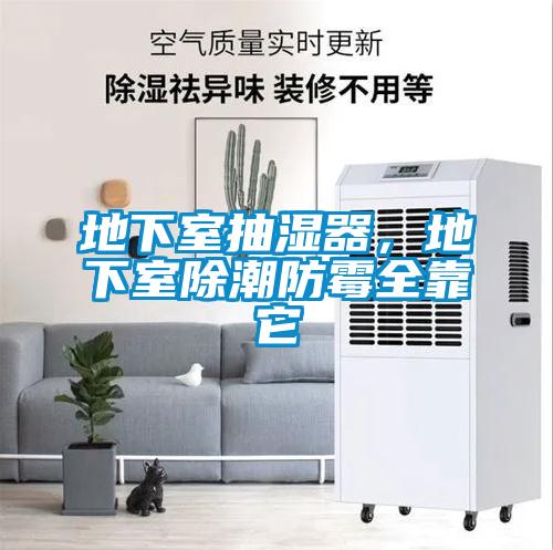 地下室抽濕器，地下室除潮防霉全靠它