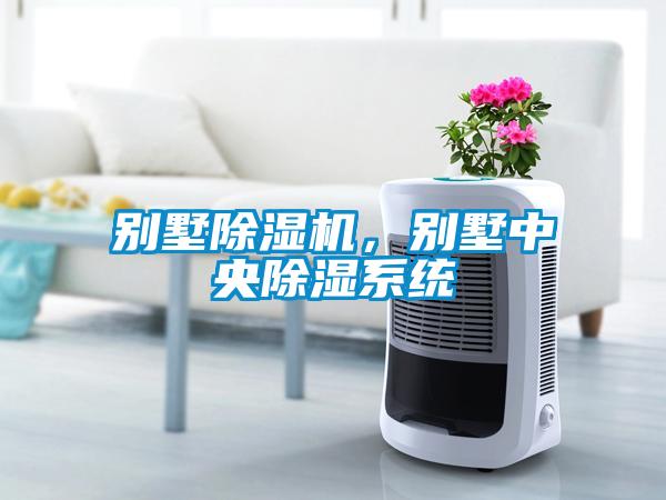 別墅除濕機，別墅中央除濕系統(tǒng)