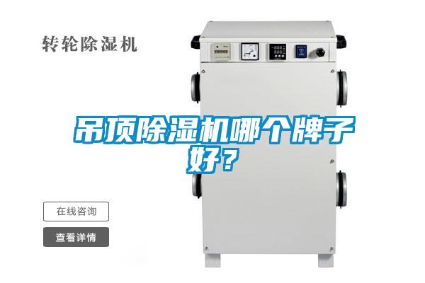 吊頂除濕機(jī)哪個牌子好？