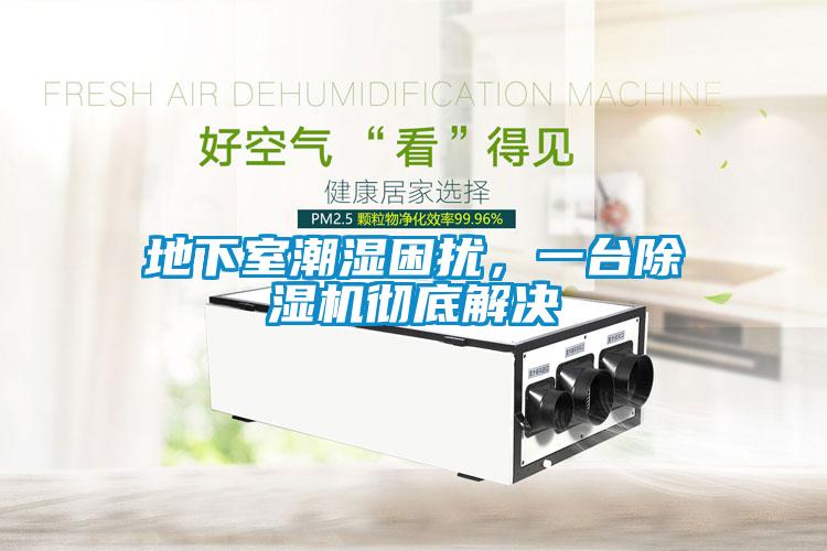 地下室潮濕困擾，一臺(tái)除濕機(jī)徹底解決