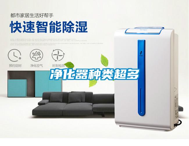 凈化器種類(lèi)超多
