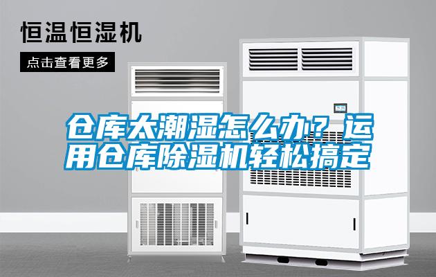 倉(cāng)庫(kù)太潮濕怎么辦？運(yùn)用倉(cāng)庫(kù)除濕機(jī)輕松搞定