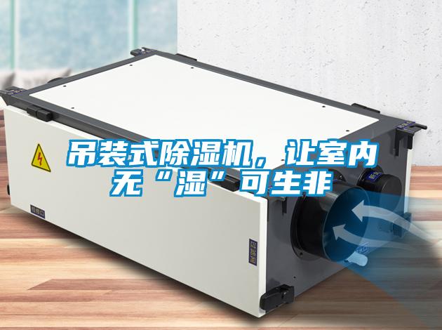 吊裝式除濕機，讓室內(nèi)無“濕”可生非