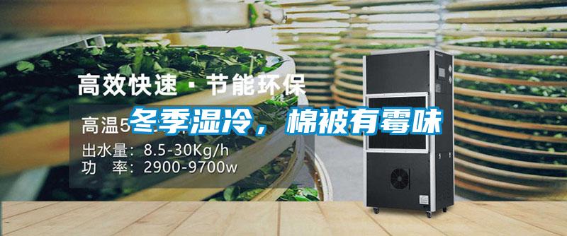 冬季濕冷，棉被有霉味