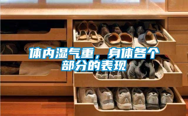 體內(nèi)濕氣重，身體各個部分的表現(xiàn)