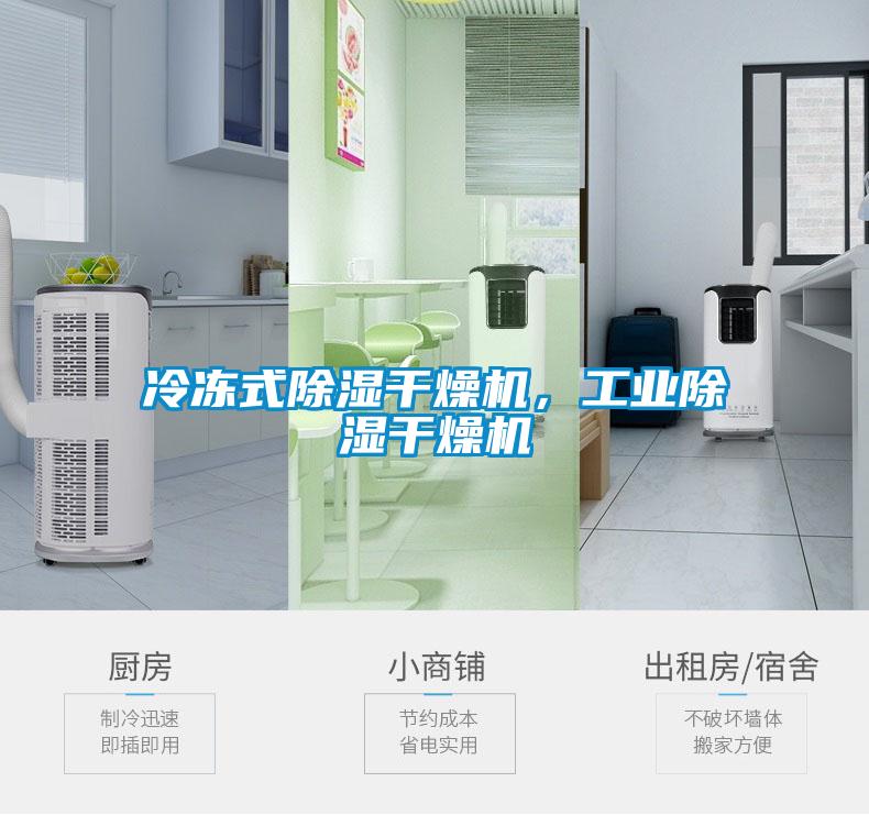 冷凍式除濕干燥機，工業(yè)除濕干燥機