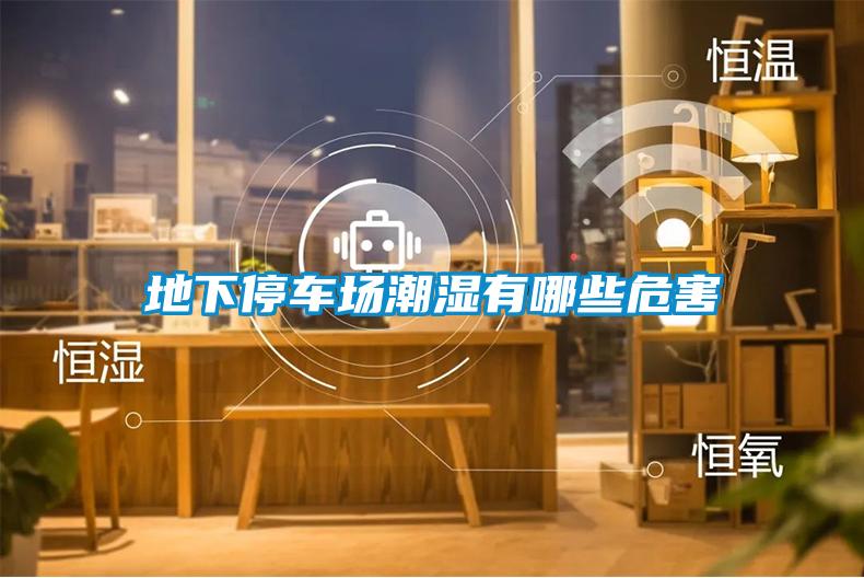 地下停車場(chǎng)潮濕有哪些危害