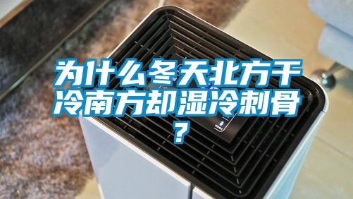 為什么冬天北方干冷南方卻濕冷刺骨？