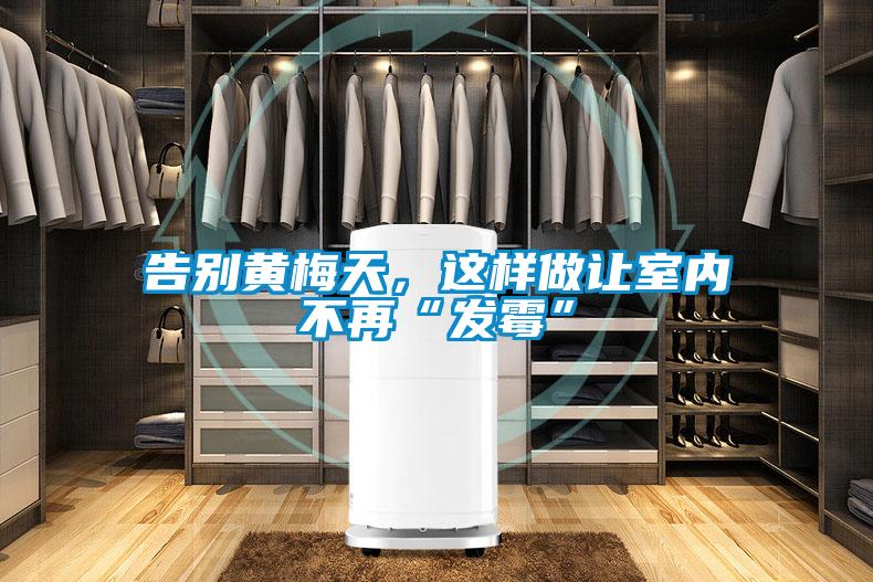 告別黃梅天，這樣做讓室內(nèi)不再“發(fā)霉”