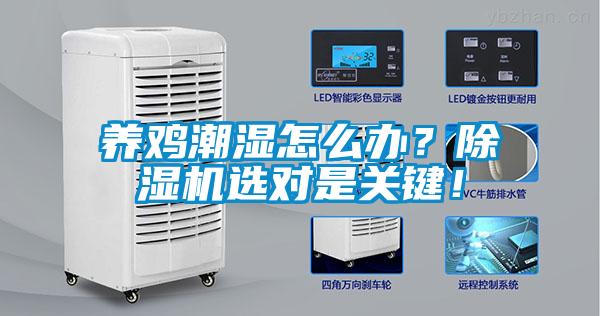 養(yǎng)雞潮濕怎么辦？除濕機(jī)選對是關(guān)鍵！