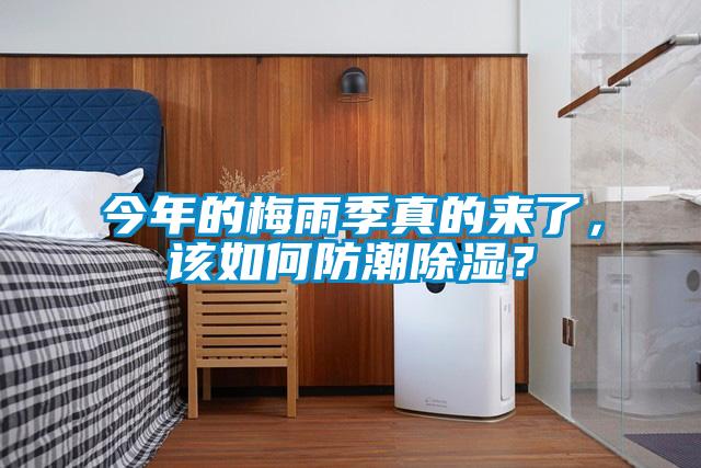 今年的梅雨季真的來了，該如何防潮除濕？