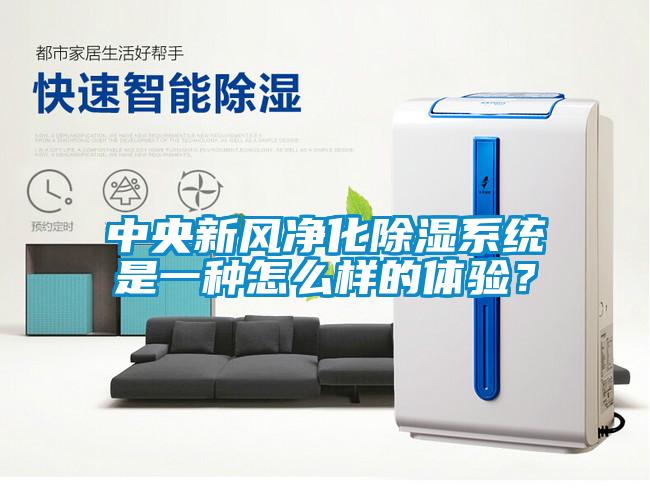 中央新風(fēng)凈化除濕系統(tǒng)是一種怎么樣的體驗(yàn)？