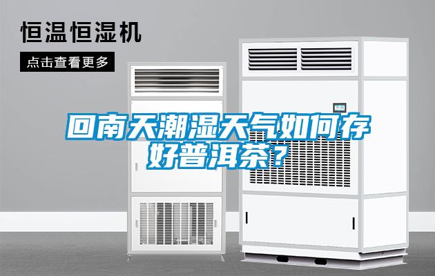 回南天潮濕天氣如何存好普洱茶？