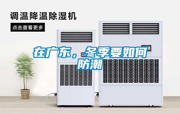 在廣東，冬季要如何防潮