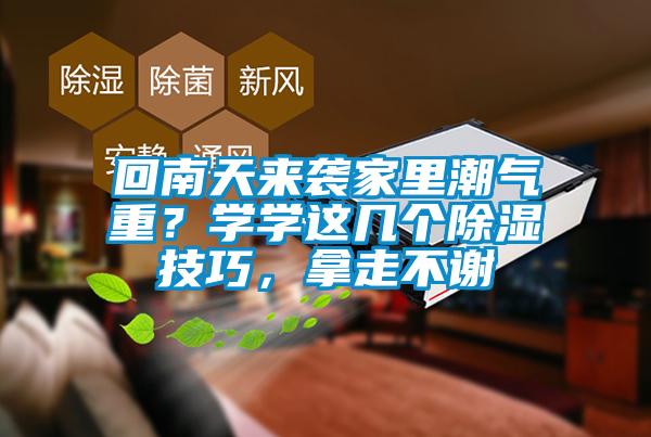 回南天來襲家里潮氣重？學(xué)學(xué)這幾個除濕技巧，拿走不謝
