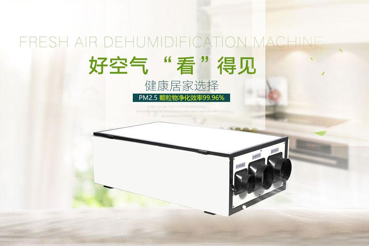 合理選擇轉(zhuǎn)輪除濕機分析其除霜功能