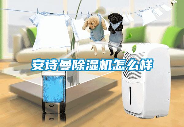 安詩曼除濕機怎么樣