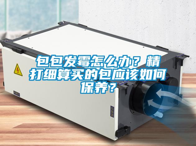 包包發(fā)霉怎么辦？精打細(xì)算買的包應(yīng)該如何保養(yǎng)？