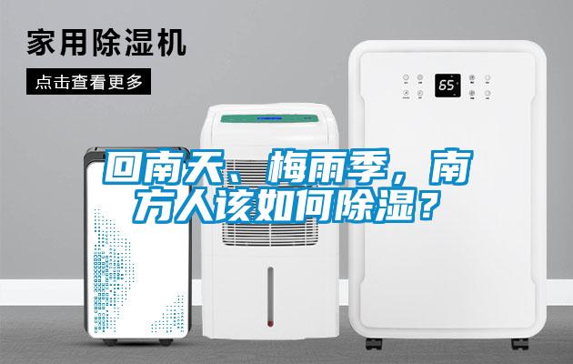 回南天、梅雨季，南方人該如何除濕？